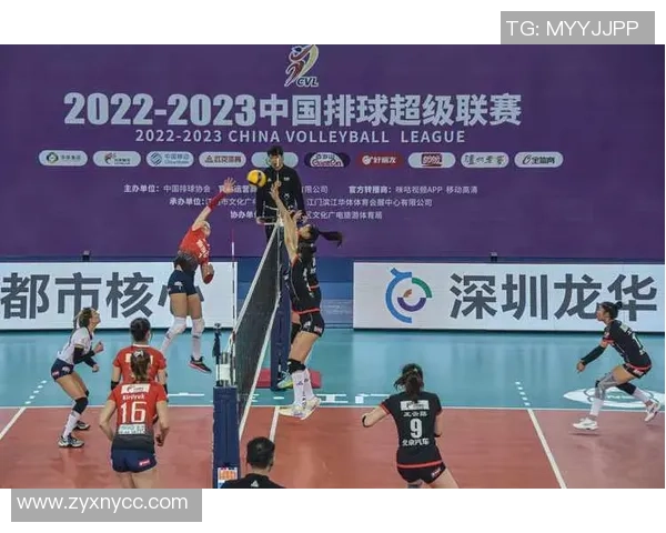 深圳排球队在排球比赛中创下新高经验排名再创新纪录