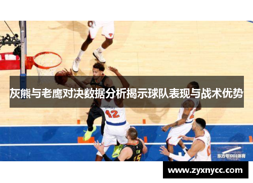 灰熊与老鹰对决数据分析揭示球队表现与战术优势